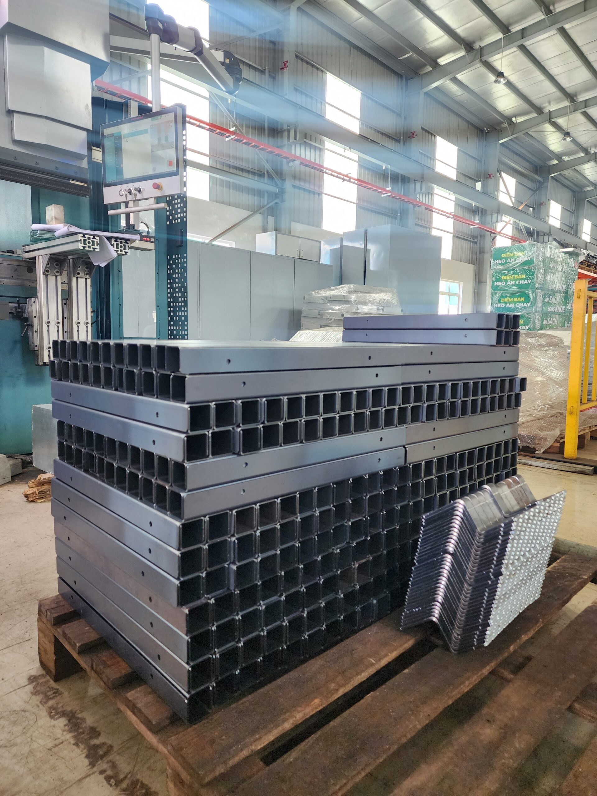 20240828 115236 scaled