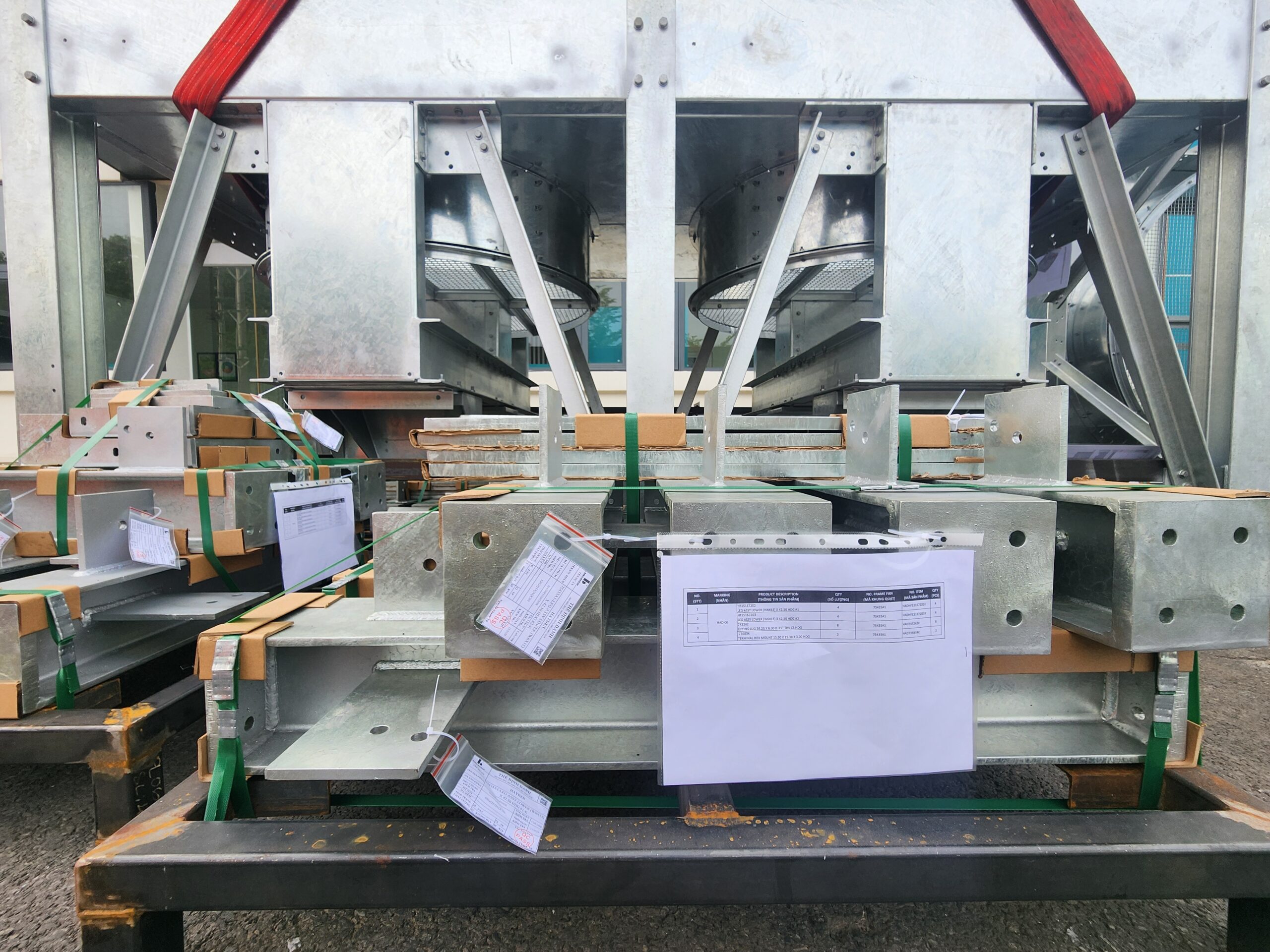 20241210 082004 scaled